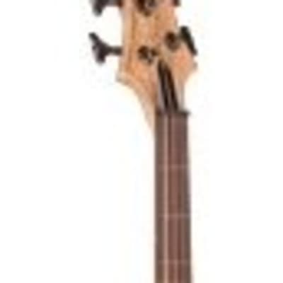 ESP LTD B-204SM FL Spalted Maple Fretless Bass Guitar, Natural Satin image 3