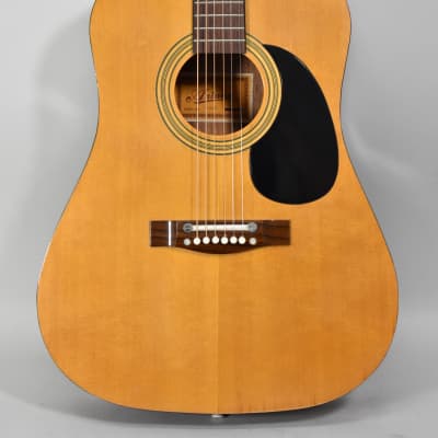Ariana W9290 Dreadnought Acoustic Guitar w/Case image 3