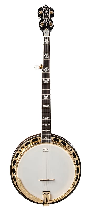 Washburn - Tobacco Sunburst Americana Series 5 String Banjo! B17 image 1