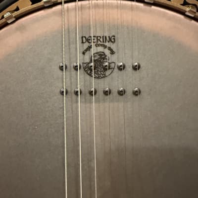 Deering Phoenix Acoustic/Electric 6 String Banjo Phoenix Electric 6 String 2020’s image 4