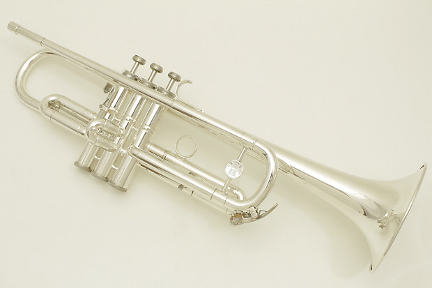 Schenkelaars trumpet sales