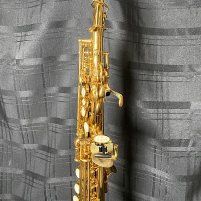 Ron Bass Soprano Sax Soprano Saxophone (Cherry Hill, NJ) image 4