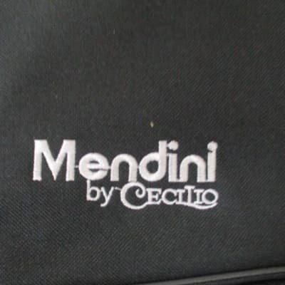 Cecilio Mendini 2020s image 3
