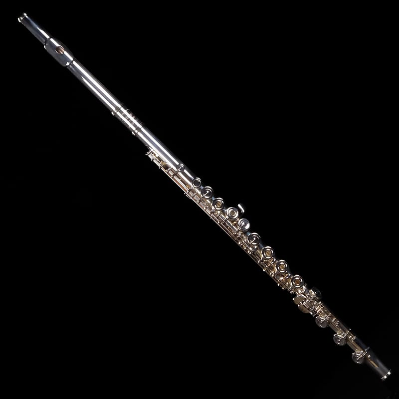 DEMO Selmer Professional Flute in C - SFL611BO | Reverb