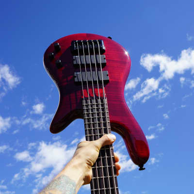 Spector Bantam-5 Black Cherry Gloss 32 inch 5-String Bass Guitar w/ Gig Bag image 1