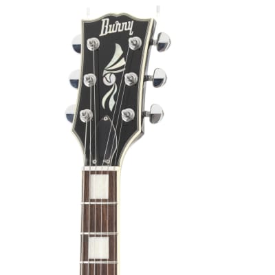 フェルナンデス　バーニー　RNG-50 Burny（バーニー）のレスポールタイプRLG-50？を買った話。 | AYG