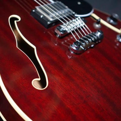 Aria TA-Domino Semi Hollow Archtop Guitar image 7