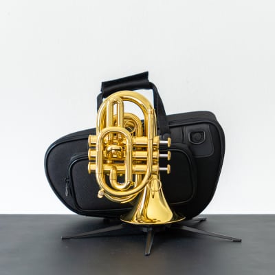 QUEEN BRASS ZORRO II UL Bb (11/02) | Reverb