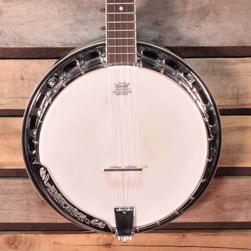 Used Washburn B-14 Banjo With Case | Reverb