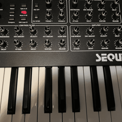 Sequential Prophet Rev2 8-Voice Polyphonic Analog Synthesizer image 5