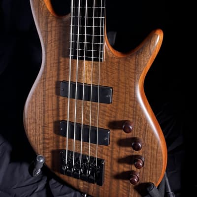Fretless 5 string bass guitar image 1