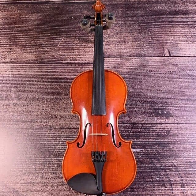 Eastman VL80 3/4 Student Violin (Phoenix, AZ)
