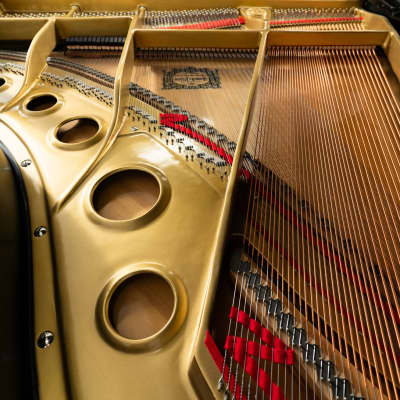 Yamaha 6'1" C3 Grand Piano | Polished Ebony | SN: B2590612 image 5