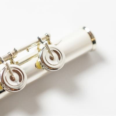 Freeshipping!Altus Flute TS-RE  Original order model/ Made in  Japan image 9