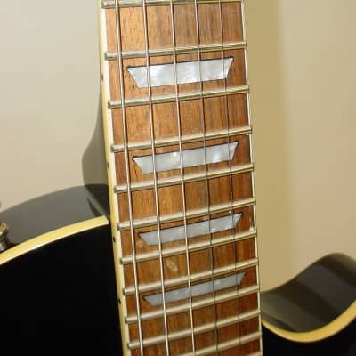 Agile AL-2000 Electric Guitar with Fernandes FRT Locking Tremolo System Gloss Black image 6