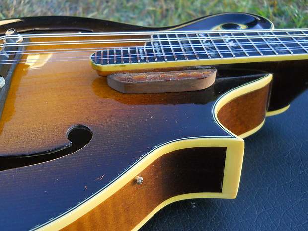 Aria pro discount ii mandolin