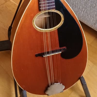 Herman Carlson Levin  mandolin from 1927. image 1
