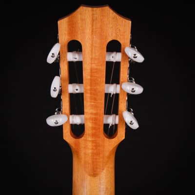 Taylor Academy 12e-N Natural Nylon String Guitar 2023 (2204243013) image 7