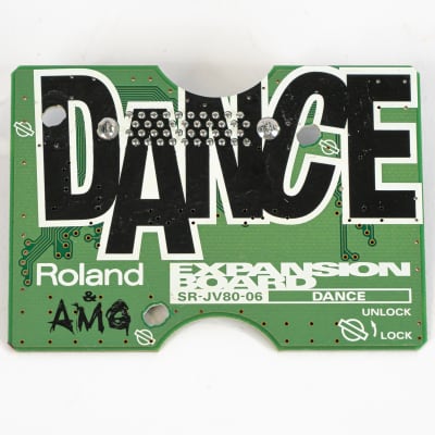 Roland SR-JV80-06 Dance Expansion Board | Reverb