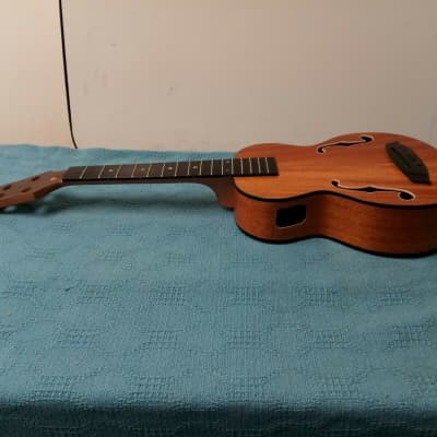 Hadean Acoustic Electric Bass Ukulele UKB-23 FH Body For Project No Hardware (A) image 8