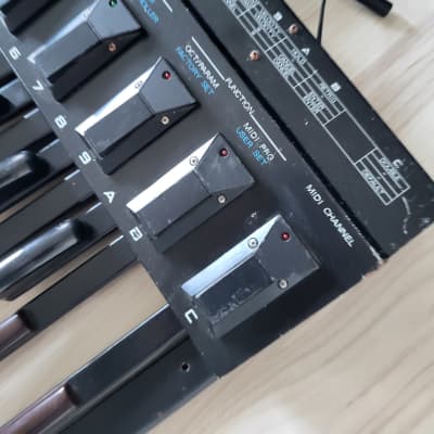 Roland PK-5A Dynamic MIDI Pedal Controller 2006 - 2012 - Black+Roland PK5 image 3