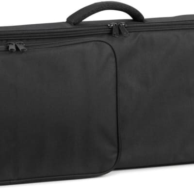 Hammond Sk1-73 Gig Bag