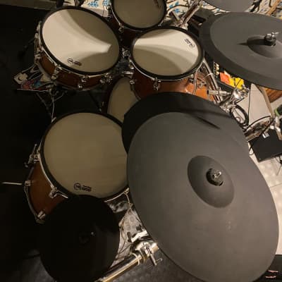 Drum-tec pro S 4 in bubinga hout pro S5 2020 image 8