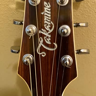 Takamine PT-007N 1980 | Reverb