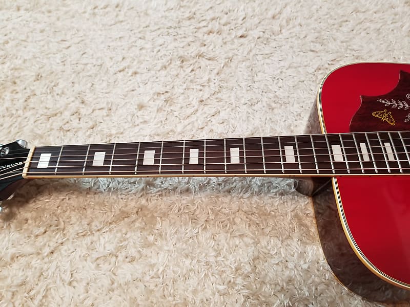 Takamine/Elite HM-25 in 1974