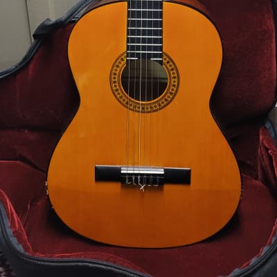 Gremlin GC10 Acoustic 80's for sale