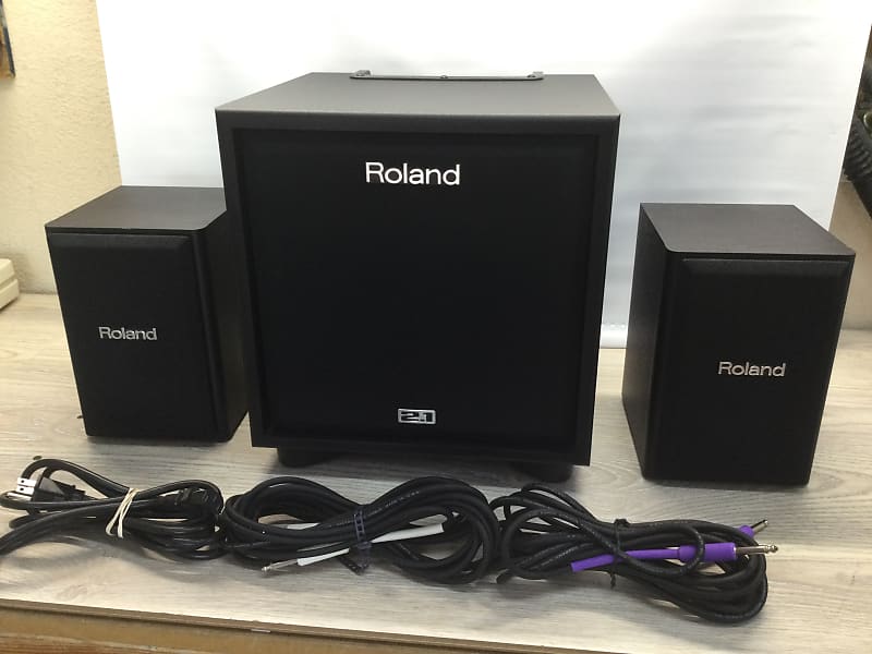 Roland Cm-110 100 Watt 2.1 Studio Monitor / PA System