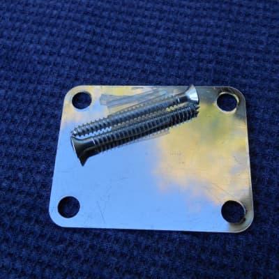 Chrome Metal Neck Plate w/ 2 Screws image 2