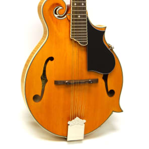 Epiphone MM-50E エレキ マンドリン エピフォン ハードケース Epiphone MM-50E エレキ マンドリン エピフォン ハードケース