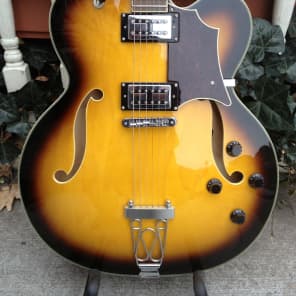 DiPinto Bacchus new sunburst Archtop w/Dipinto Case image 1