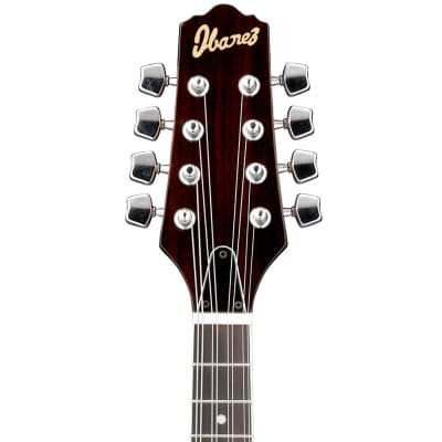 Ibanez M510EBS A-Style Mandolin, Brown Sunburst High Gloss with Strings and Tuner image 4