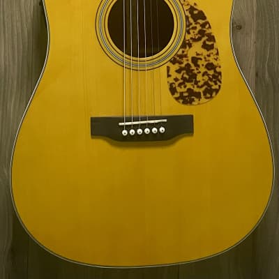 Cort AS-E4 Acoustic | DIY Fever