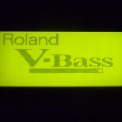 Roland V-Bass with Manual