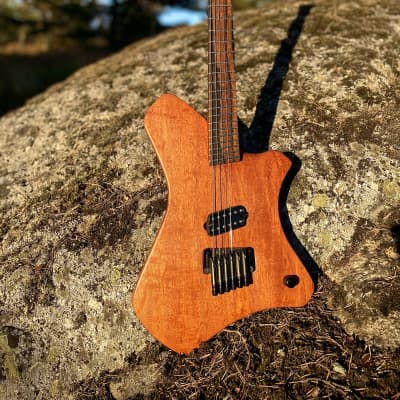 Polar Guitars  Multiscale Handmade in Sweden image 1