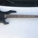 ESP LTD TA-600 Tom Araya Signature Electric Bass Guitar EMG Pickups