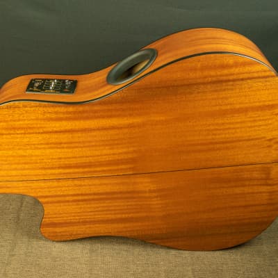 Boulder Creek Solitaire ECR1-N solid wood electric/acoustic guitar image 3