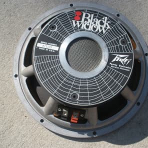 Peavey black outlet widow speakers