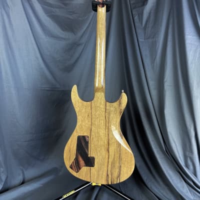 Kleśa Instruments Kāli Ct 2024 Black Limba   