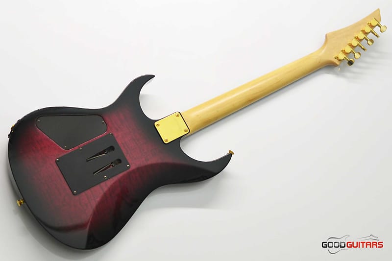 ギター Fernandes FGZ-550 Second Hand Fernandes FGZ-550 1990s — Pedal Empire