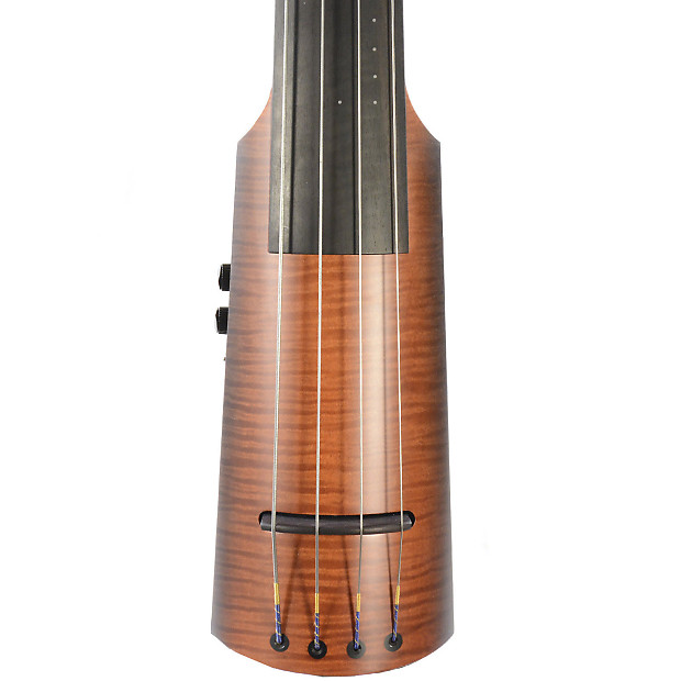 NS Design NXT4 Double Bass | Reverb