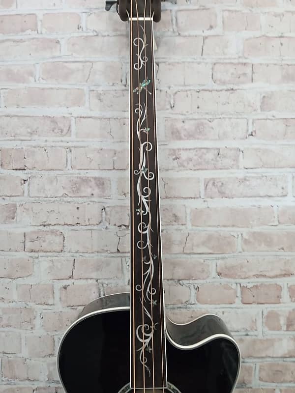 Michael Kelly DRAGONFLY 4 FRETLESS ACOUSTIC ELECTRIC BASS Acoustic Bass Guitar Sarasota FL