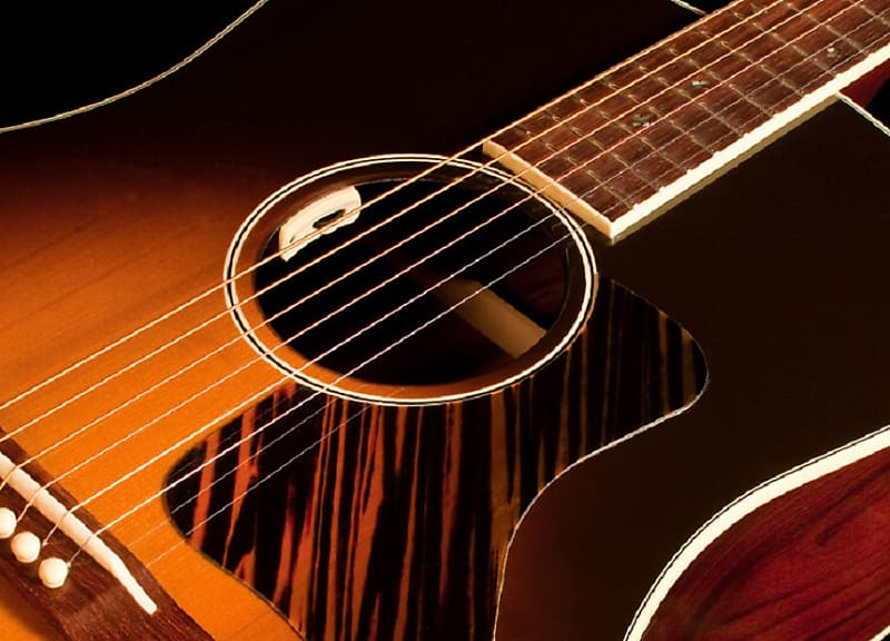 LR Baggs Anthem SL Tru Mic Acoustic Guitar Pickup System, w/shirt & shipping image 1
