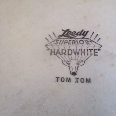 Leedy (2) Matching Vintage 13 Inch Calf Skin Tom Tom  Heads, Early 60 Or 50s, Very Playable! image 2