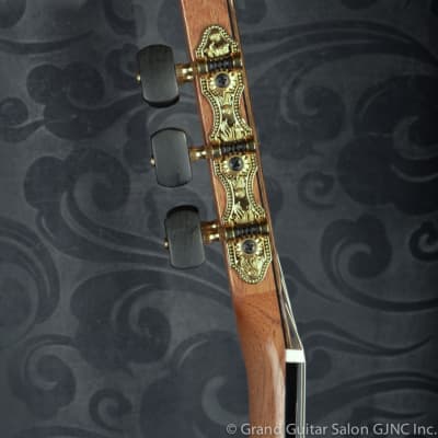 Raimundo Tatyana Ryzhkova Signature model, Spruce top classical guitar image 5