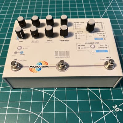 Hologram Electronics Microcosm | Reverb