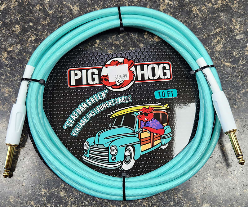 Pig Hog PCH10SG Vintage Series 1/4" TS Instrument Cable - 10' 2010s - Seafoam Green image 1